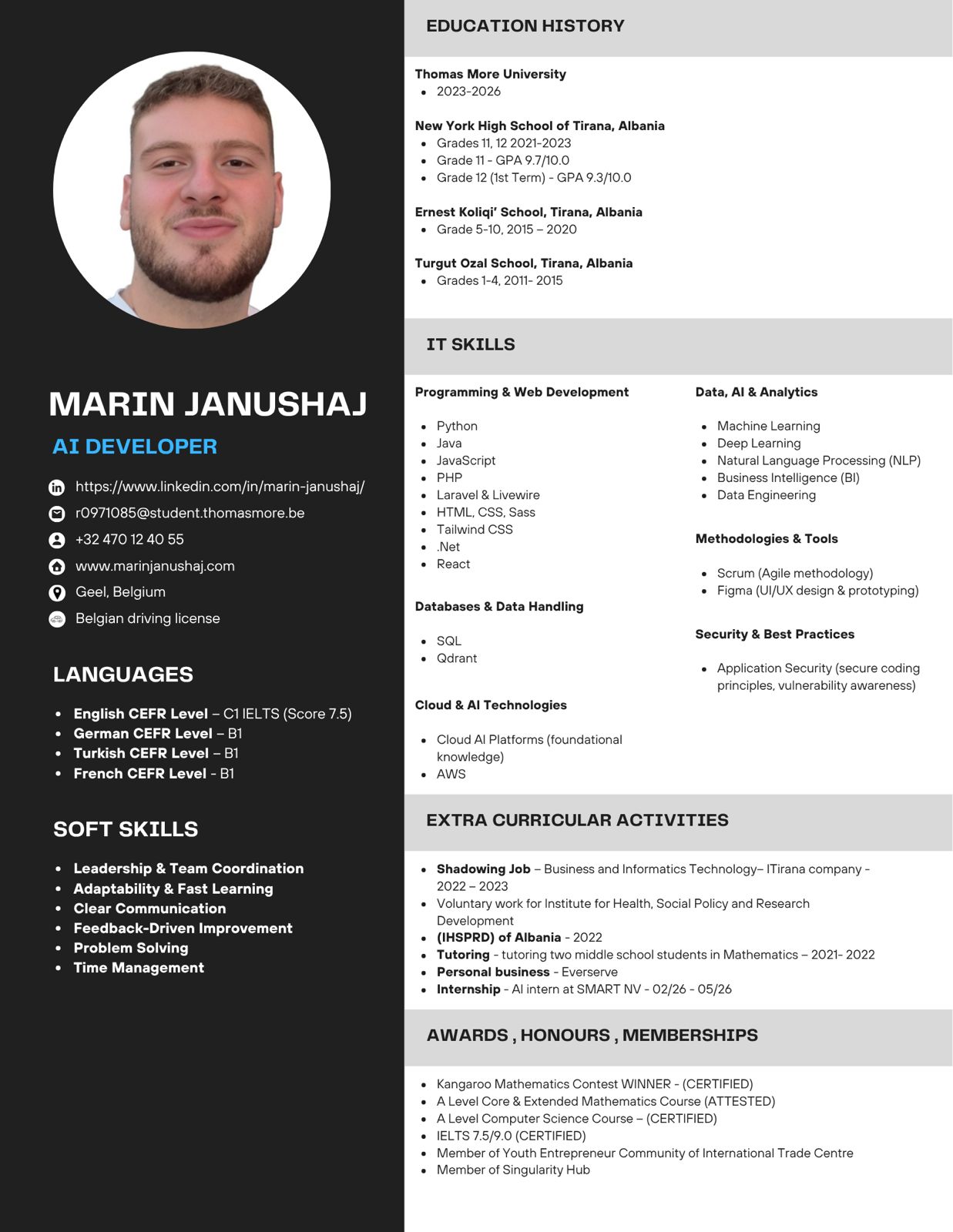 Marin Janushaj CV preview